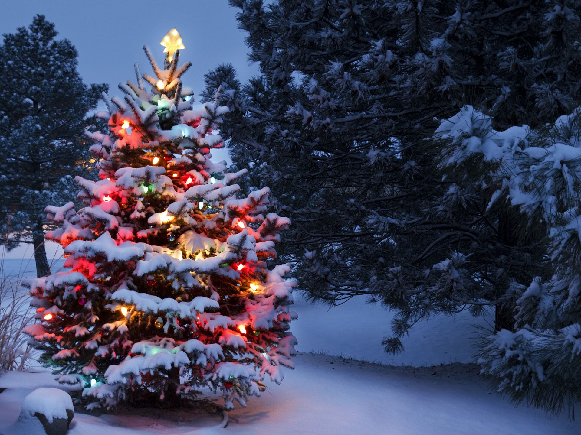 Елка 210 см: Праздничная Величина и Волшебство в Вашем Доме